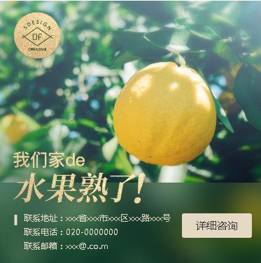 碌曲果园果林小程序开发